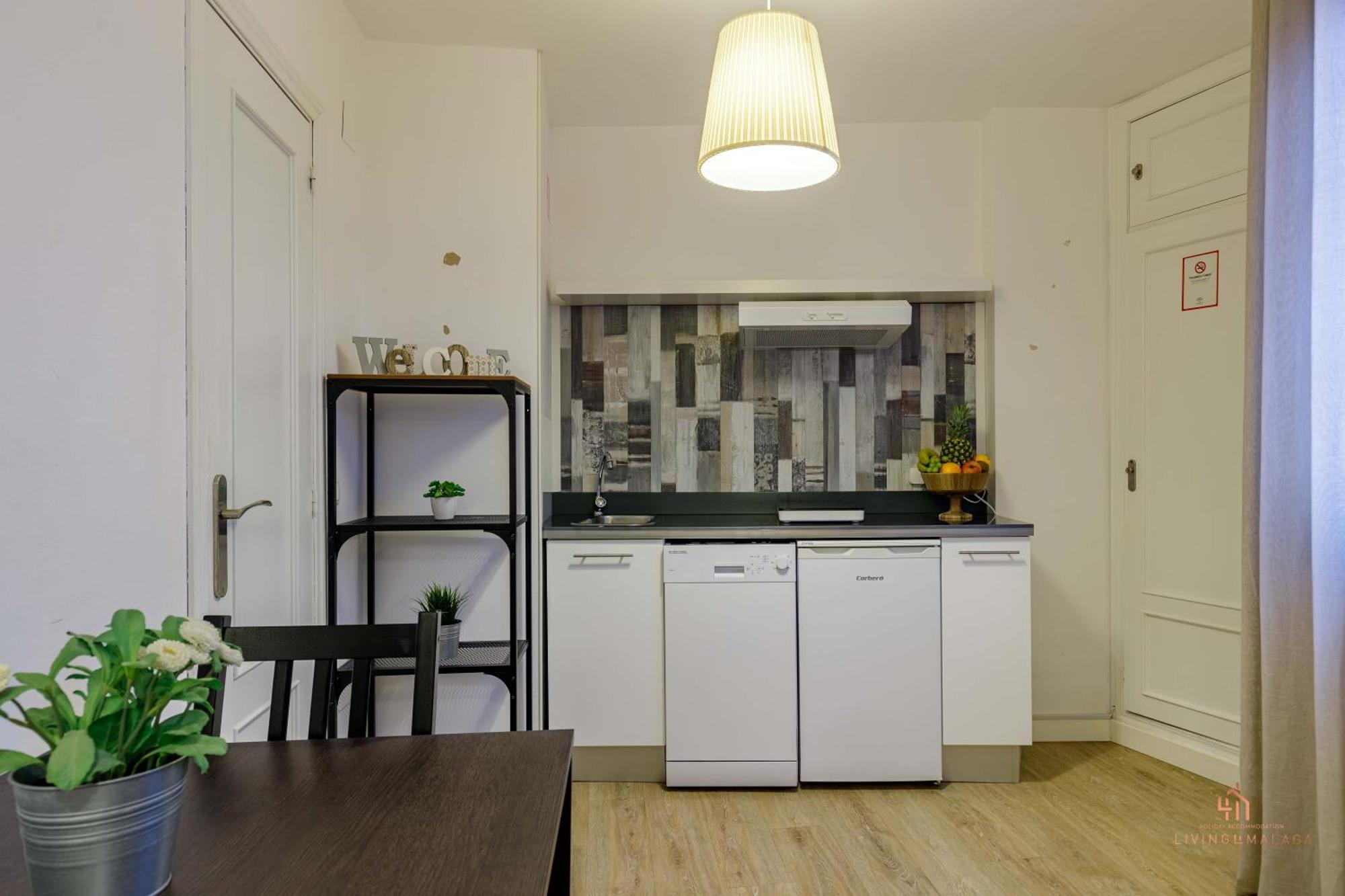 Living4malaga Serenity Apartamento *